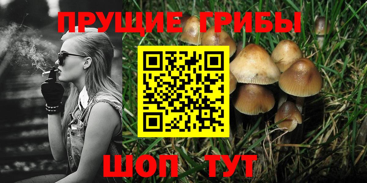 Саранск  Галлюциногенные грибы Psilocybe  Вход с VPN 